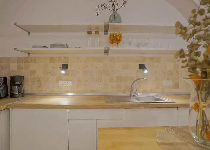 アパート Luxury Garden ブラショフ